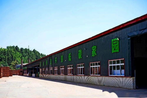 四川建園建材公司 園林式磚廠，顛覆傳統(tǒng)建材行業(yè)